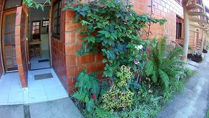 Apt Studio Maranduba Ville 1 Apartment Ubatuba Bagian luar foto